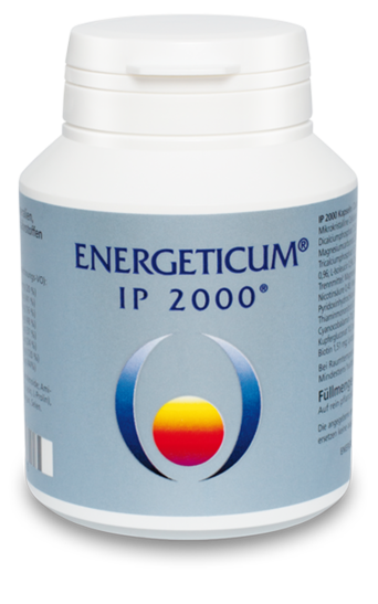 Energeticum IP 2000